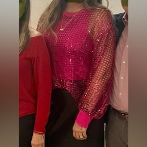 Pilcro Long-Sleeve Sequin top/Sold by Anthropologie